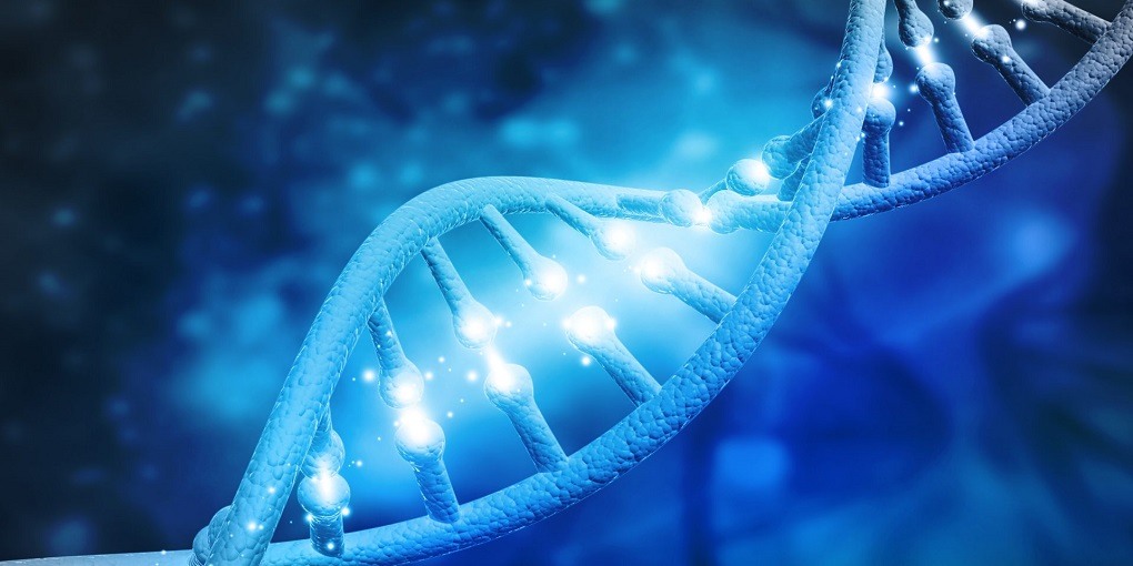 آزمایش ژنتیک چیست ؟