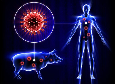 آنفولانزای خوکی، علائم و راههای درمان آن